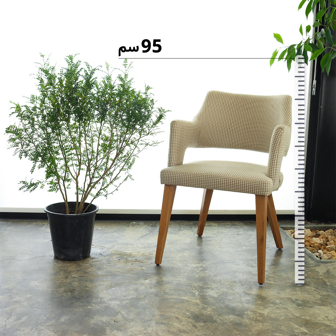 البلسم حجم كبير 5 حبات