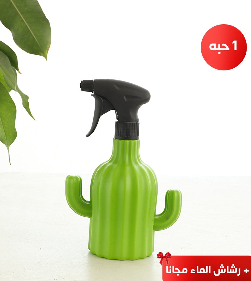 Areca Palm – (1) piece (Medium size) with woven basket pot + free water spray