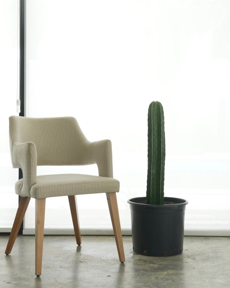 Columnar Cactus (Small Size)