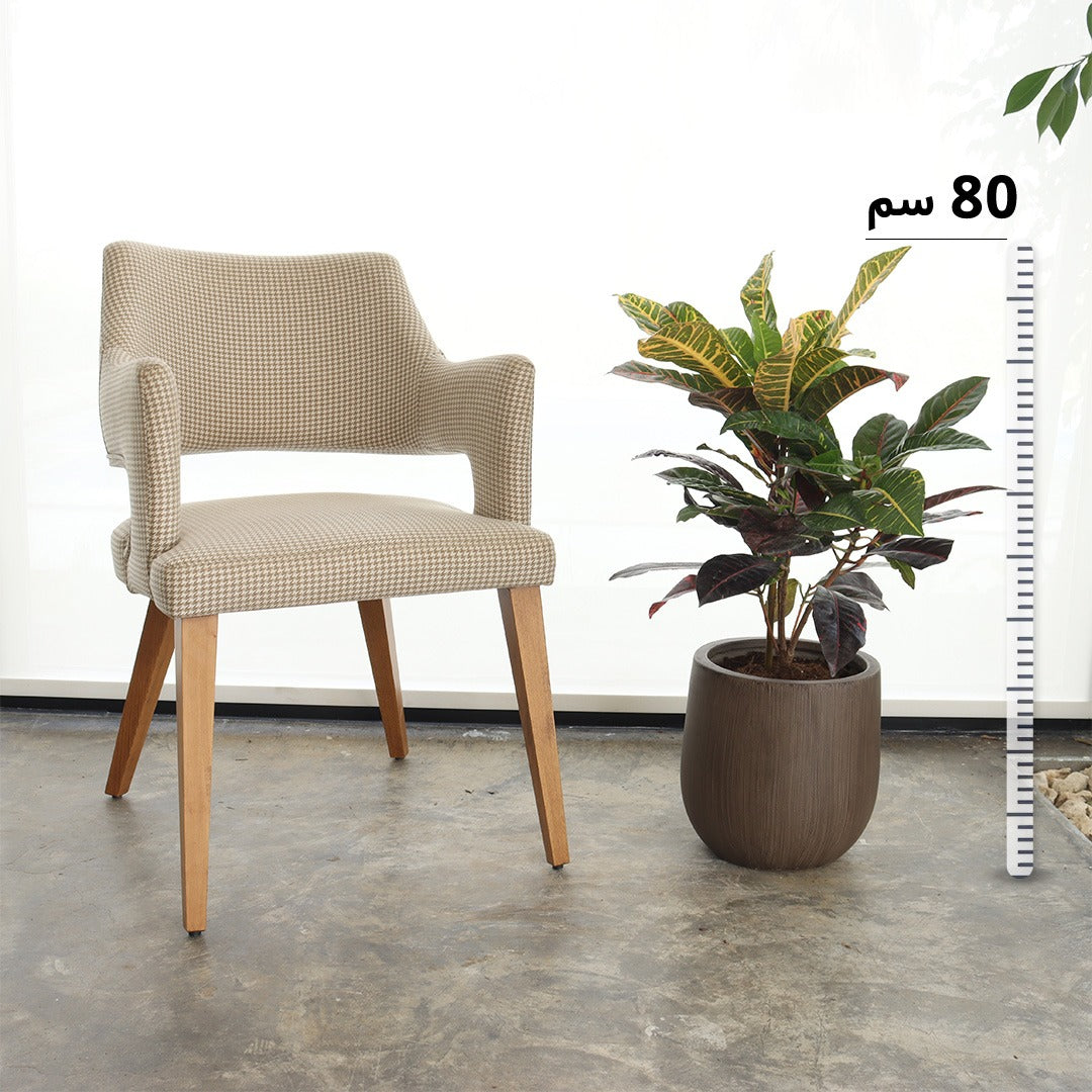 كروتون ملوّن (حجم صغير) – حوض فايبر بني خشبي