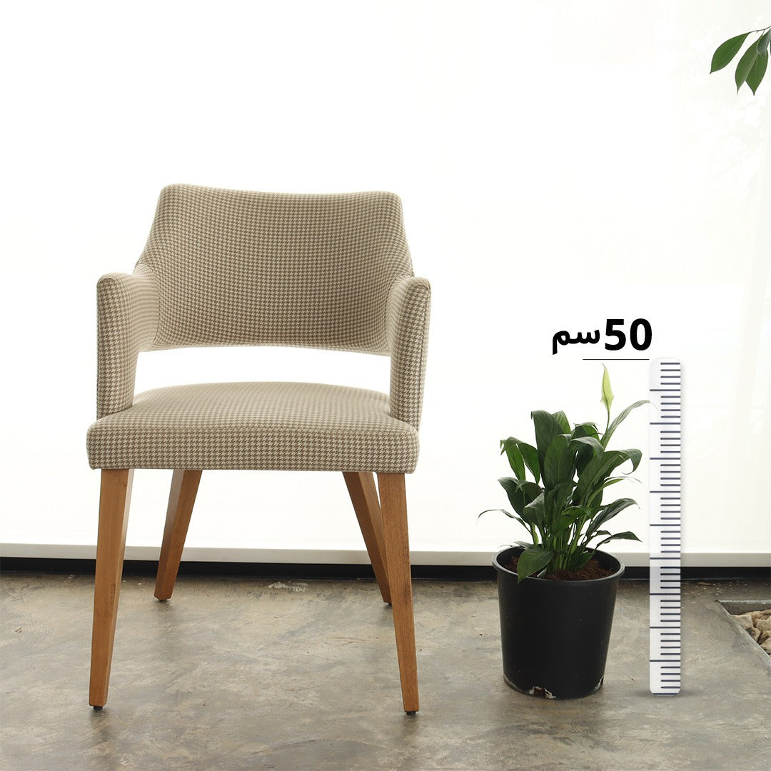 زنبق السلام (حجم صغير)