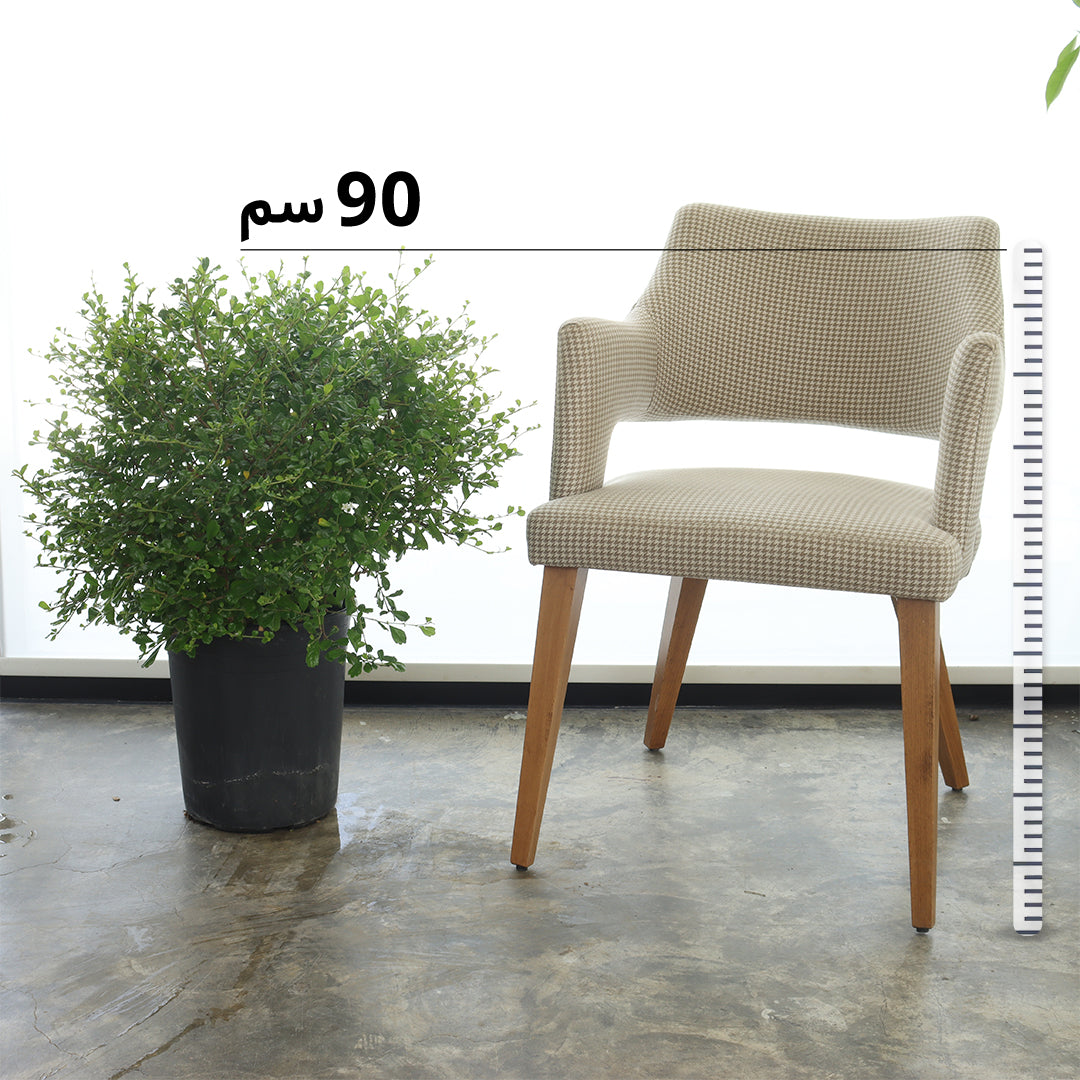 الكرمونا حجم وسط 3 حبات